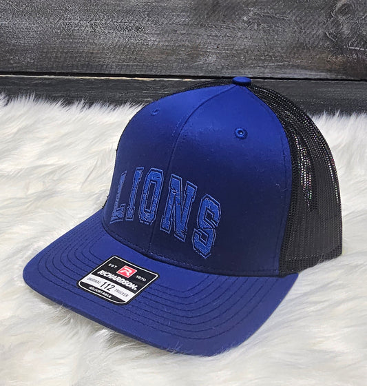 Lions baseball hats